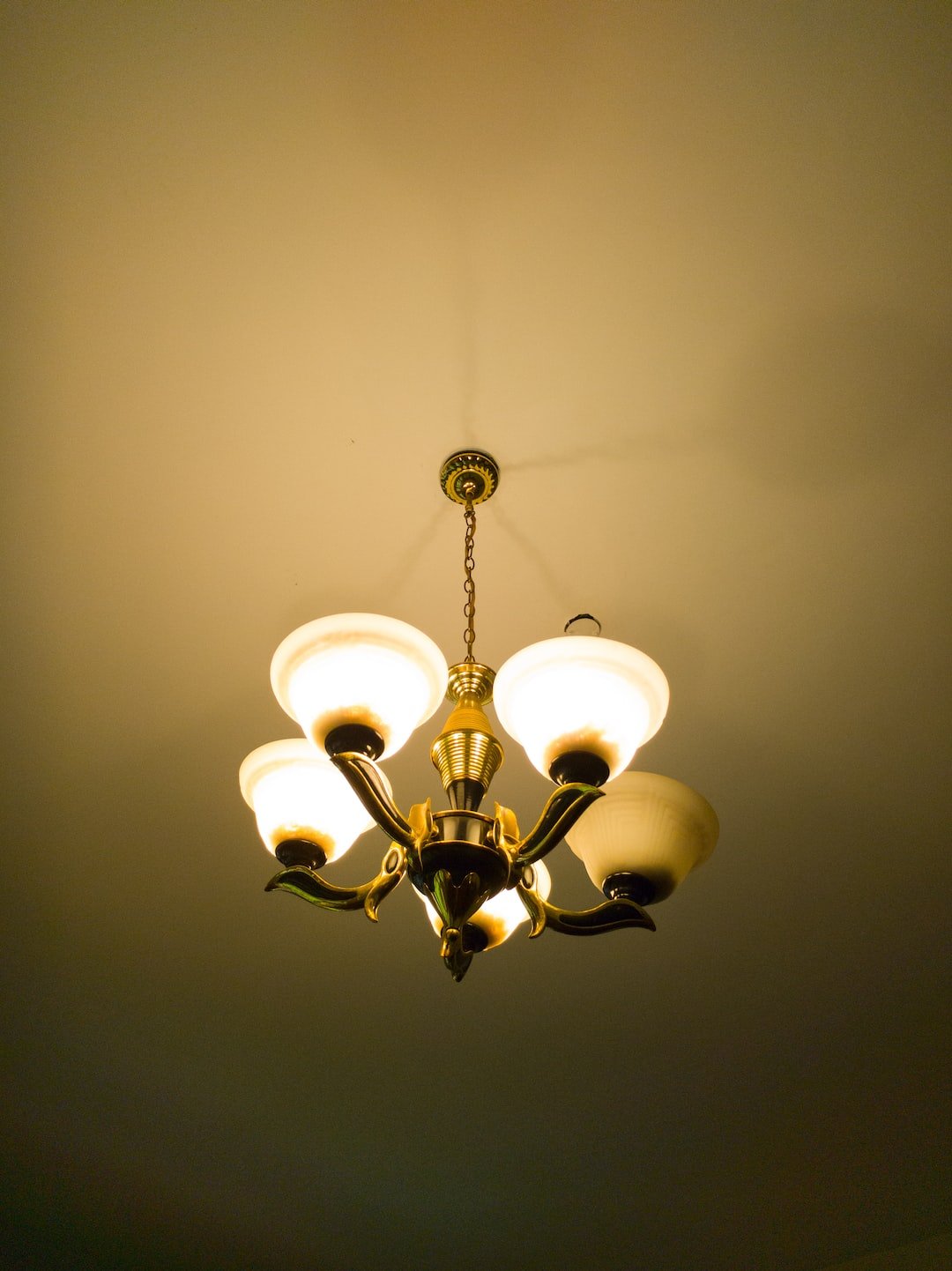 Illuminating Your Space: A Guide to Choosing the Perfect Ceiling Lights